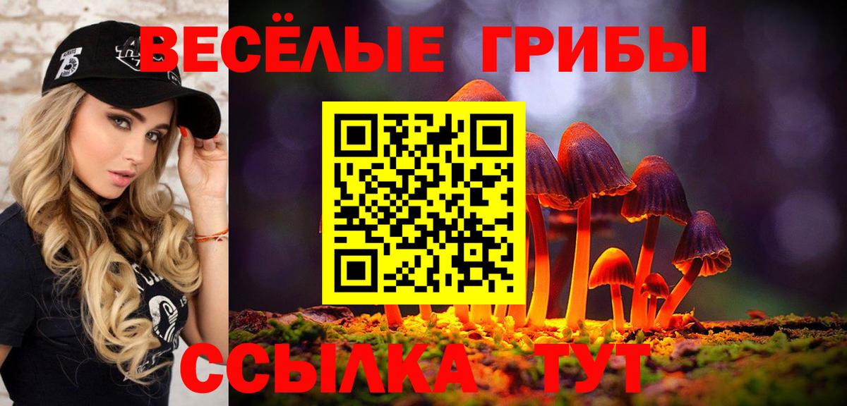 Томск  Псилоцибиновые грибы мухоморы  Вход с VPN 